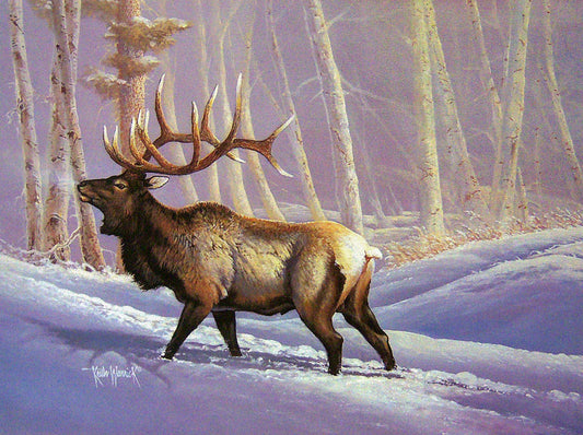 A painting of a bull elk trudging through the snow in a birch forest.