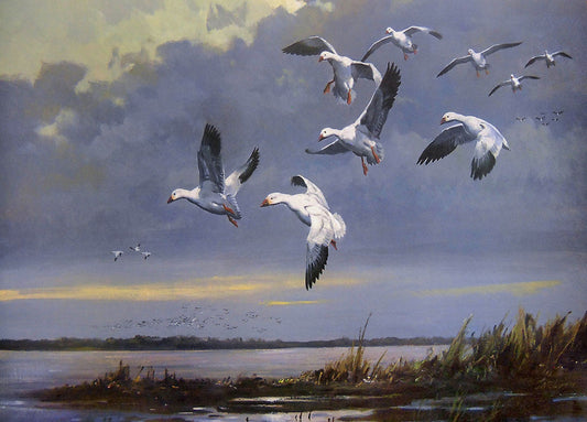 A painting of a flock of snow geese flying over a muddy coastline.