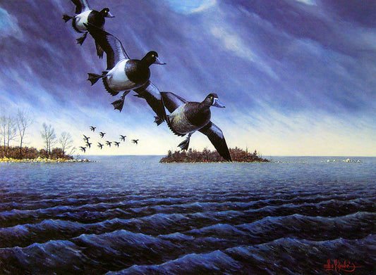 A painting of a flock of greater scaup ducks, also known as bluebills, flying over the Great Lakes.