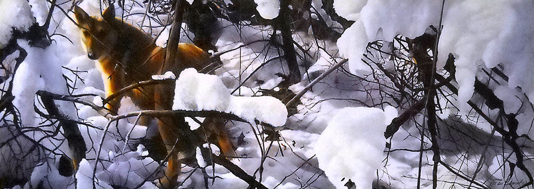 A painting of a dog walking through the snow, surrounded by a tunnel of low-hanging branches and brush.