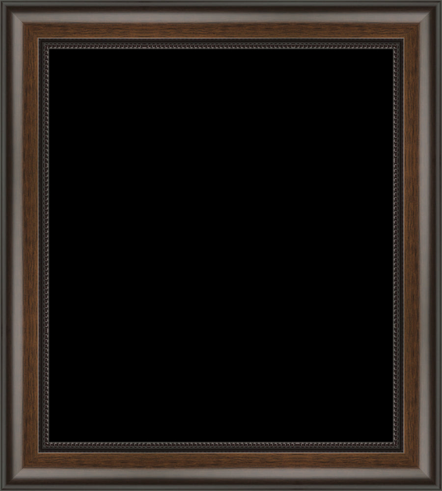 529-41-new_Large_frameOnly_larfsh_patternFrame