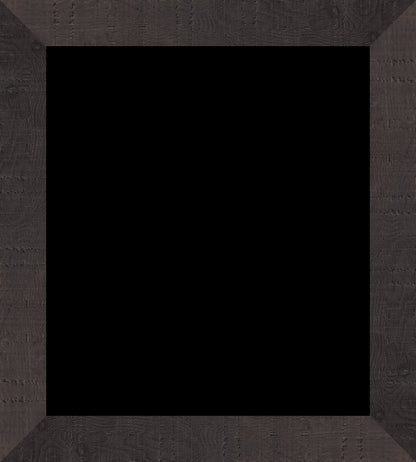 Z-Fin001stick3_Large_frameOnly