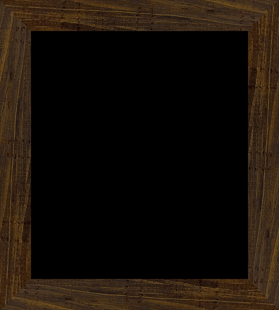 Z-Fin002stick-1_Large_frameOnly