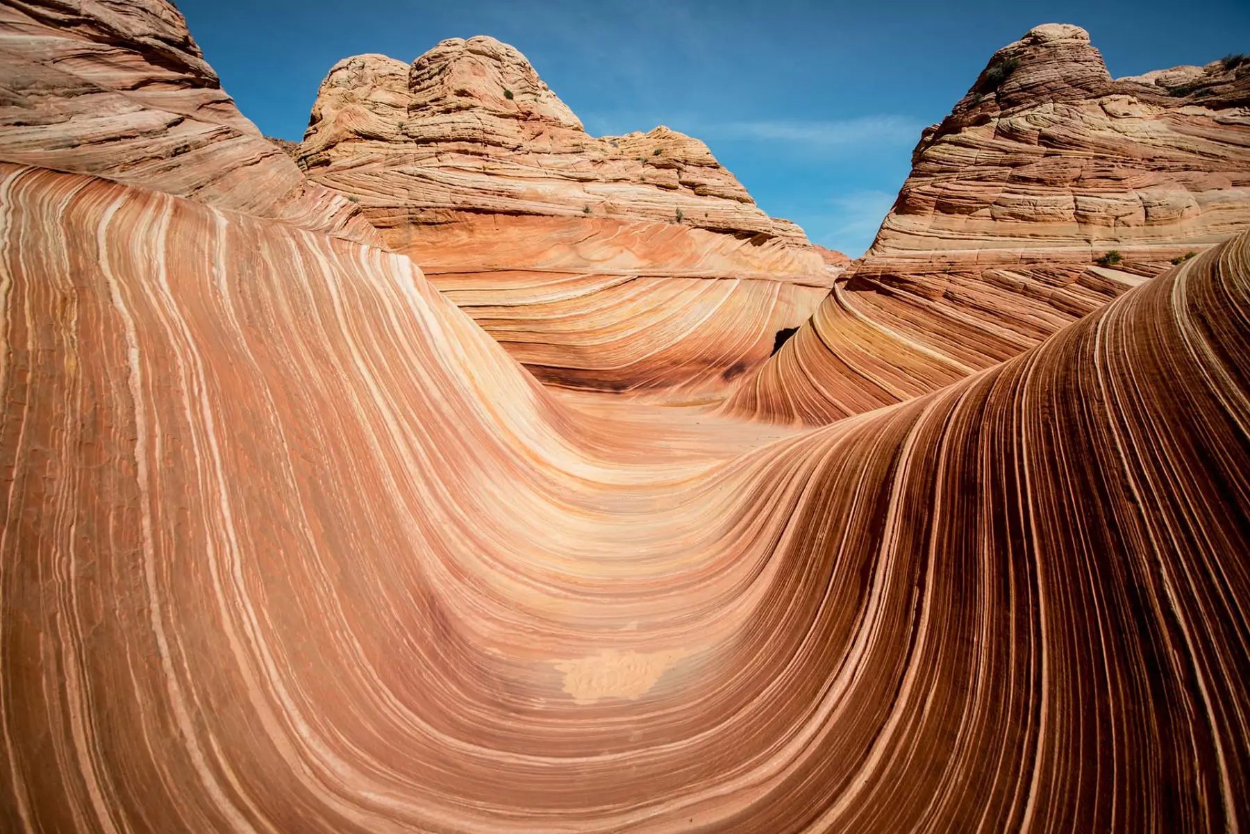 A photo of the "Wave" rock formation at Coyote Buttes North in Utah. The wavy sandstone layers create rolling waves where they have been carved out of the mountainside. The orange hues of the stone are sharply contrasted by the vibrant blue of the sky.