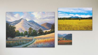 A collage of art in the standard Santa Ynez Summer package, including a box board painting of the Oakville, California vineyards, a canvas photograph of a field with San Francisco Mountain in the distance, and a canvas painting of Santa Ynez Valley, CA.