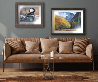 Two paintings hanging on a living room wall. The first is a painting of a hooded merganser duck, floating on the water with its reflection rippling below. Printed on paper, matted, and framed. The second is a painting of Yosemite National Park, with the iconic Half Dome batholith surrounded by wispy clouds. The fall foliage lines the trail to the summit. Printed on paper, matted, and framed.