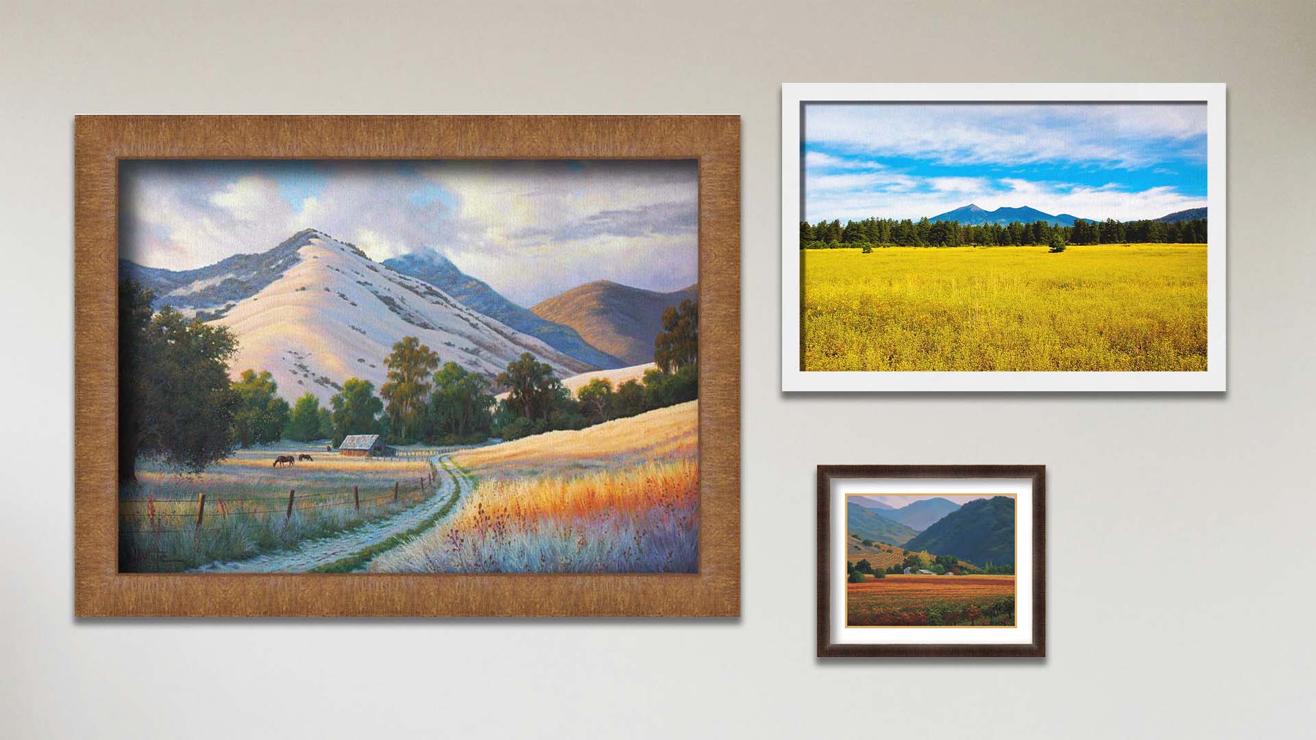 A collage of art in the designer Santa Ynez Summer package, including a matted and framed painting of the Oakville, California vineyards, a framed photograph of a field with San Francisco Mountain in the distance, and a framed painting of Santa Ynez Valley, CA.