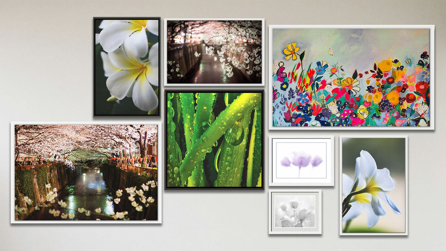 A collage of art in the luxury Early Morning Green package, including two float framed photographs of cherry blossom trees over a canal in Japan, two float framed photographs of plumeria flowers in Hawaiʻi, a float framed photograph of dewy grass, a float framed painting of a stylish contemporary flower garden, a matted and framed photograph of gentle lavender roses, and a matted and framed photograph of roses in black and white.